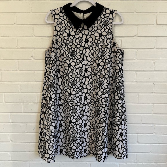 Nanette Lepore Black and White Lace Collared Shift Dress, SZ 12 EUC - Picture 1 of 8